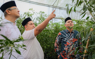 Kunjungan Deputi Kepala Bank Indonesia Sumatera Utara ke Smart Green House Darul Arafah